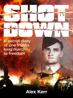 cover image of Shot Down